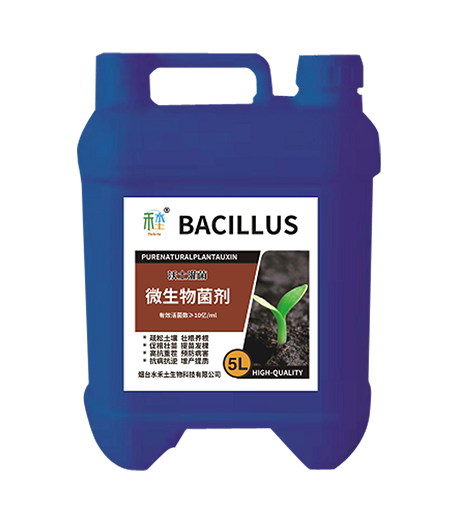 Bacillus