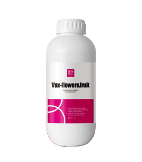Vax-flower&fruit