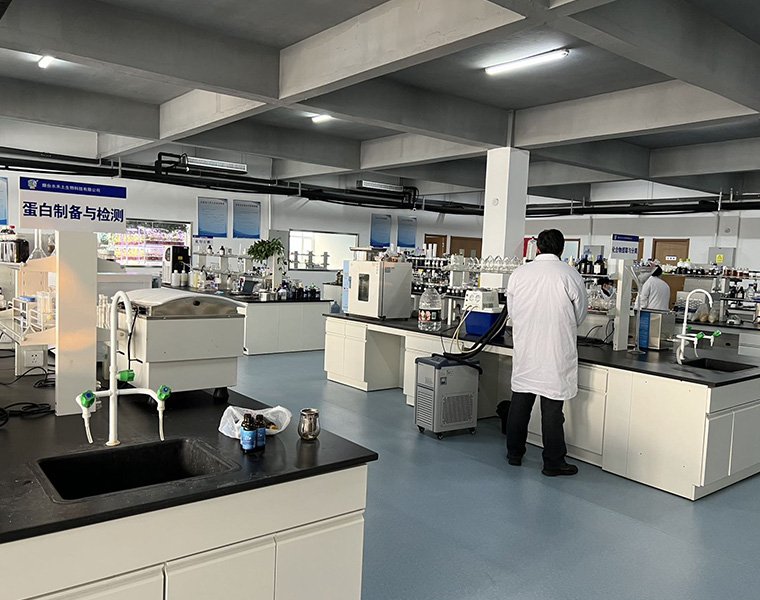 R&D laboratory