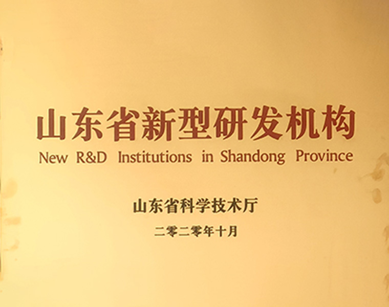 New R&D Institutions in Shandong Province