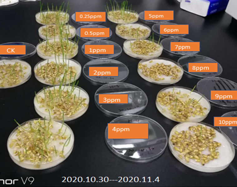 Promote seed germination