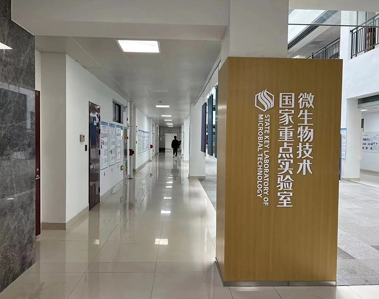 Product innovation support